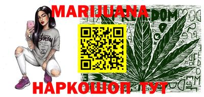 гидра Краснознаменск