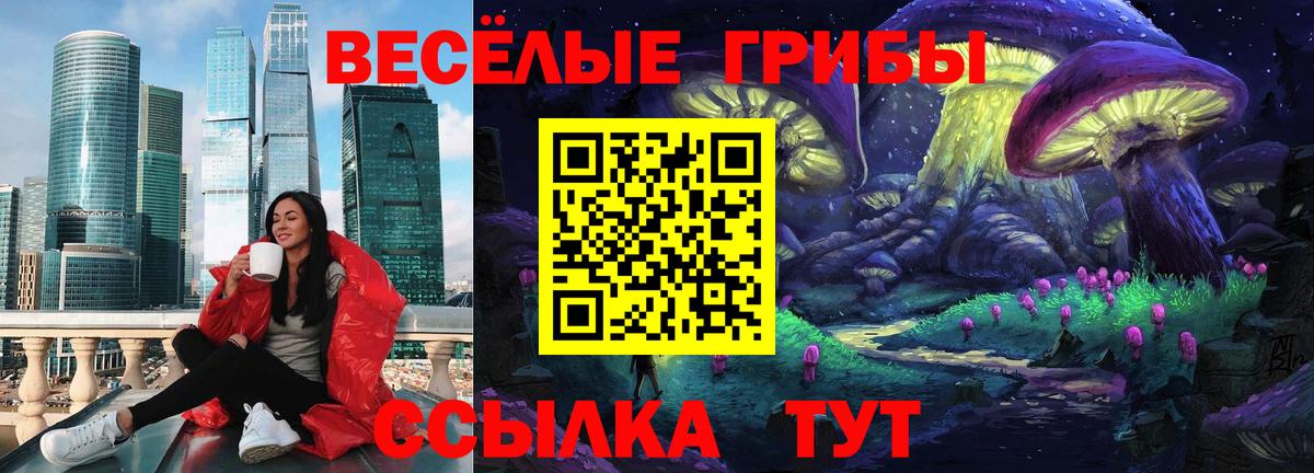Галлюциногенные грибы Psilocybe Кольчугино