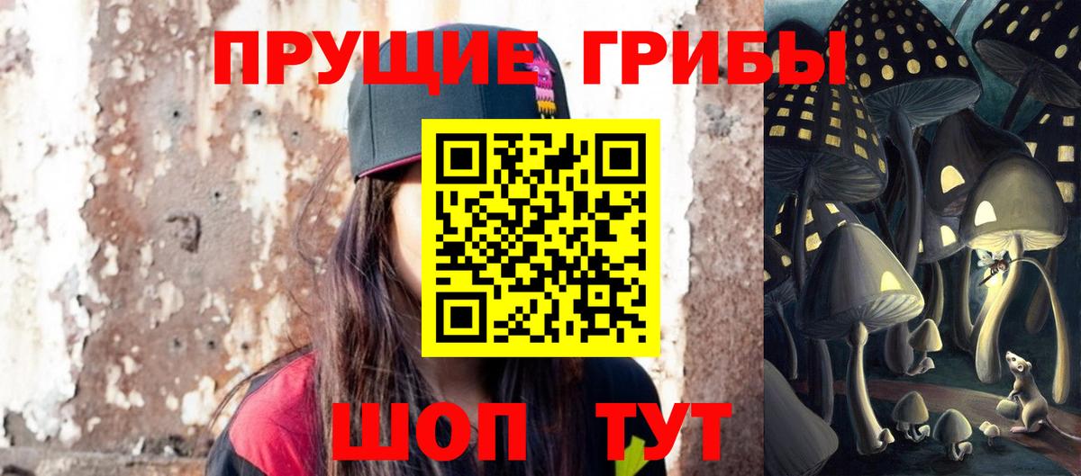 Псилоцибиновые грибы GOLDEN TEACHER  Кольчугино 