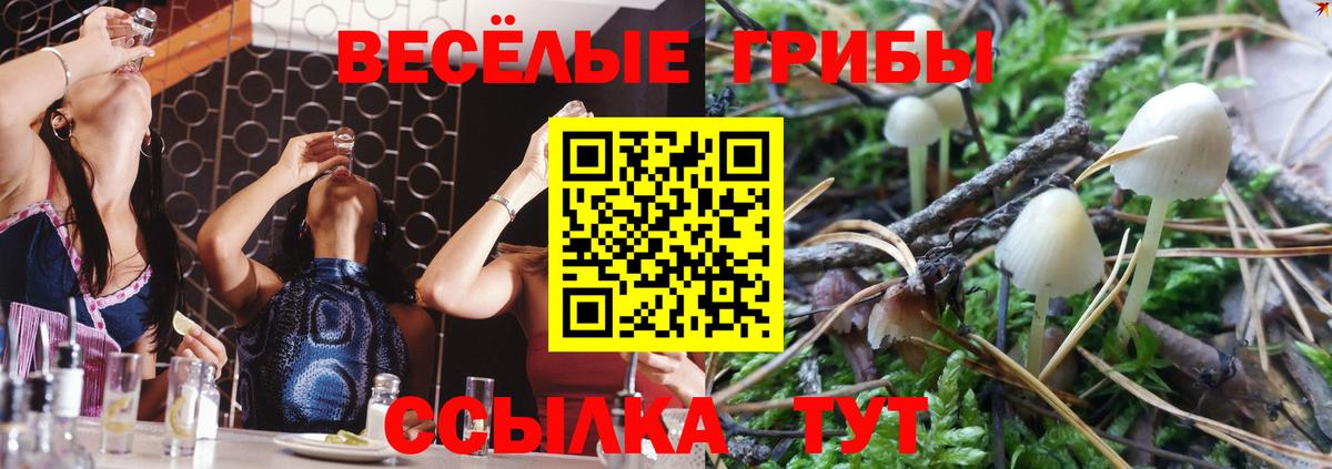 Кольчугино  Псилоцибиновые грибы ЛСД  Вход с VPN 